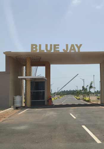 dtcp plots for sale in peedampalli thumbnail